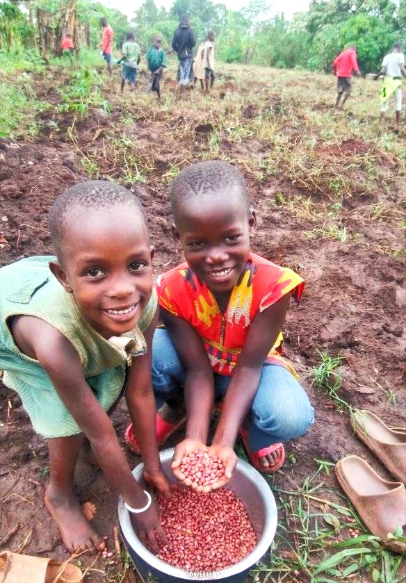 Desire girls sorting beans together