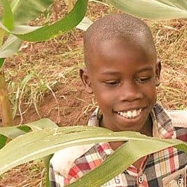 Bayego Innocent smiling among tall maize plants, in a red and white checked shirt
